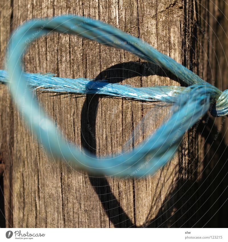 BlauesBand grau blau-grau Leitfaden Seil Unschärfe Holz Makroaufnahme Nahaufnahme Schnur Nähgarn Nervosität Knoten