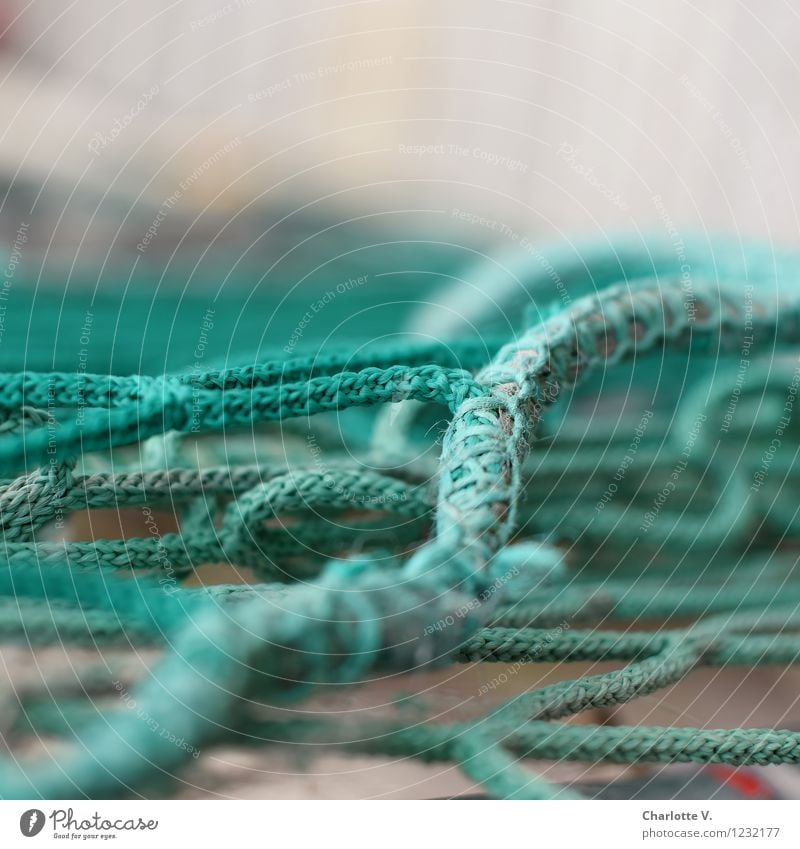 Verstrickungen Kunststoff Linie Netz Netzwerk liegen authentisch maritim grau grün türkis chaotisch Verflechtung Synthese Knoten netzartig Zopfmuster Schnur