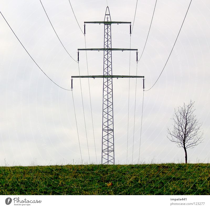 hochspannung Elektrizität elektronisch Smog Umwelt Zerstörung Baum Holzmehl Wiese klein groß Haushalt Kraft Strommast Kabel Seil Metall Energiewirtschaft