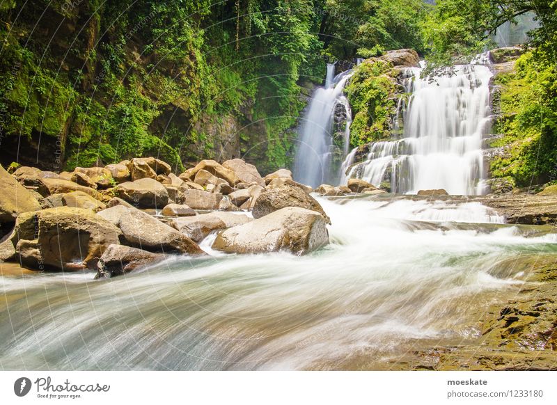 Nauyaca Falls Costa Rica Natur Urelemente Wasser Sommer Wald Urwald Wasserfall grau Ferien & Urlaub & Reisen Strömung fließen HDR Farbfoto mehrfarbig
