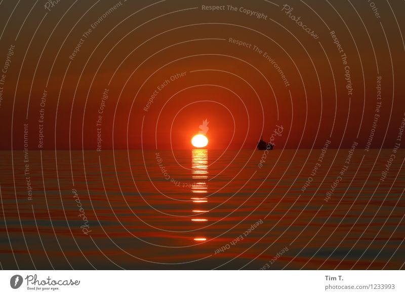 Nichts Sonne Sonnenaufgang Sonnenuntergang Ostsee Meer Kitsch Schifffahrt Abenddämmerung Wasserfahrzeug Farbfoto Außenaufnahme Menschenleer Dämmerung Licht