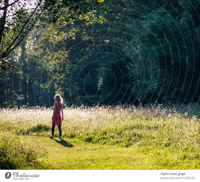 fairyland harmonisch Zufriedenheit Erholung ruhig Duft Ausflug Abenteuer Ferne Freiheit Sommer Sonne feminin Junge Frau Jugendliche Leben 1 Mensch 18-30 Jahre