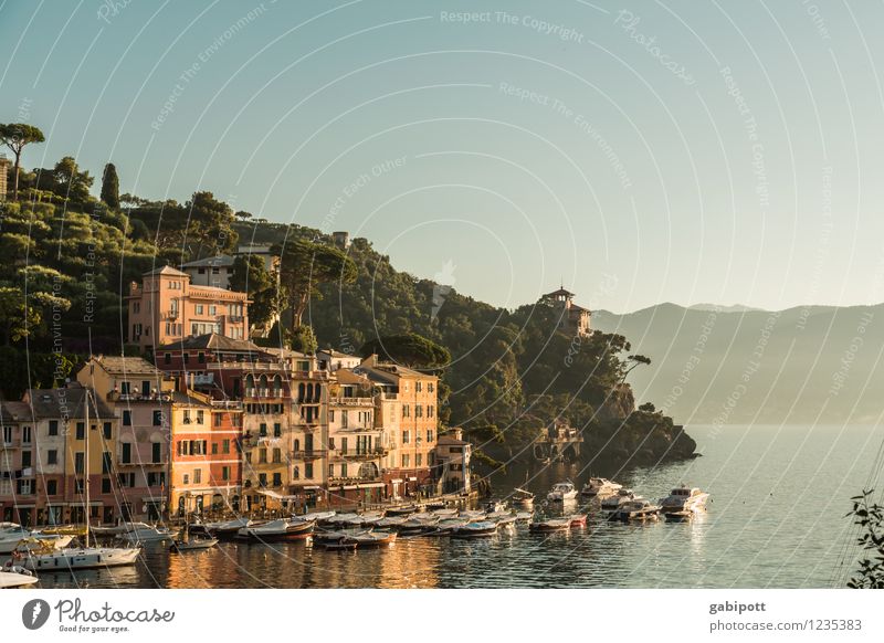 Portofino Ferien & Urlaub & Reisen Landschaft Wasser Wolkenloser Himmel Sonnenaufgang Sonnenuntergang Sonnenlicht Sommer Hügel Küste Bucht Meer Idylle