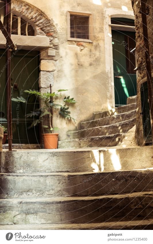 Vernazza. Auf dem Weg nach oben Ferien & Urlaub & Reisen Tourismus Ausflug Abenteuer Ferne Freiheit Sommer Sommerurlaub Sonne Italien Cinque Terre Europa Dorf
