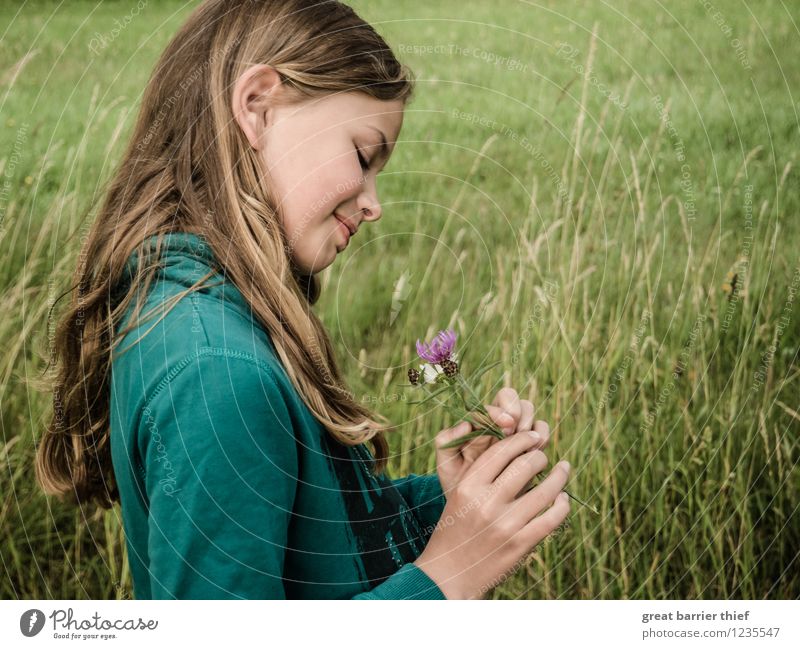 Blumenmädchen auf der Wiese Mensch feminin Kind Mädchen Schwester Kindheit Kopf Haare & Frisuren Gesicht 1 8-13 Jahre Umwelt Natur Landschaft Tier Sommer