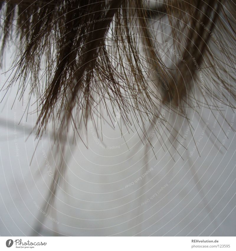 endlich wieder HAARE :-) krause Haare zerzaust kalt Haare & Frisuren Wellen braun langhaarig gewaschen nass feucht Friseur Schwimmbad Haarschnitt Bad Haarschopf