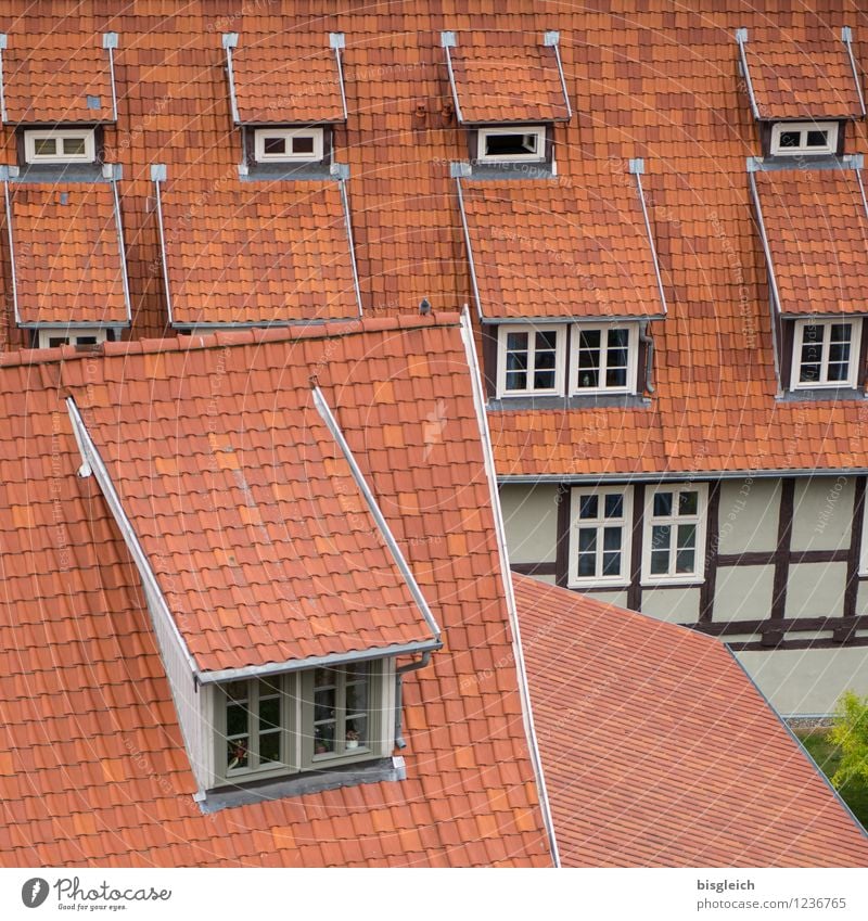 Quedlinburg II Ferien & Urlaub & Reisen Städtereise Bundesadler Europa Stadt Altstadt Menschenleer Haus Architektur Fenster Dach rot Fachwerkhaus Dachziegel