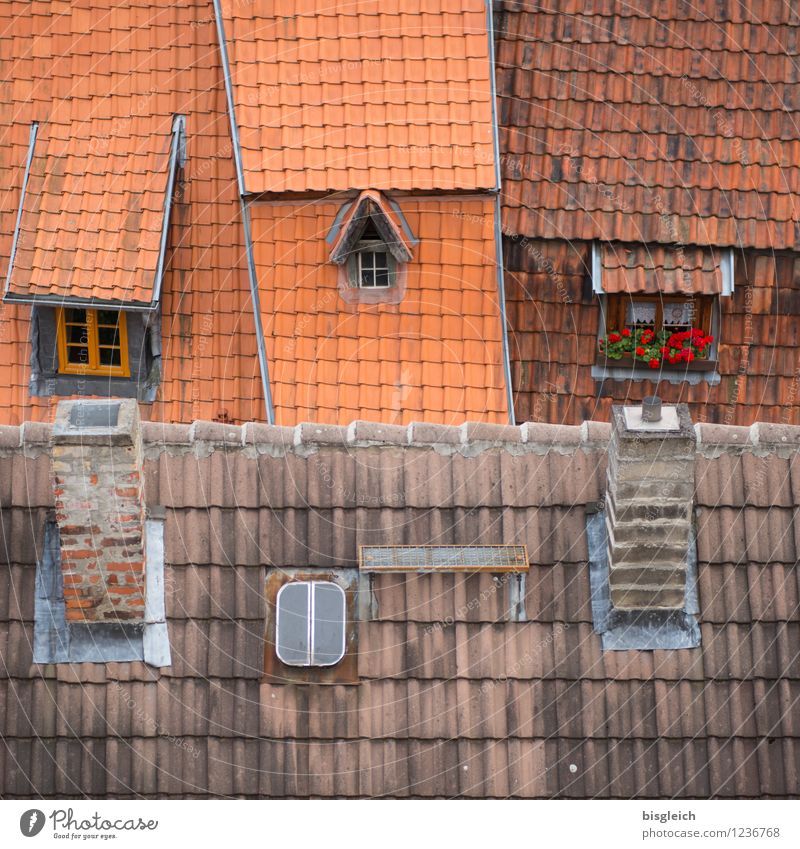 Quedlinburg III Bundesadler Europa Stadt Altstadt Haus Gebäude Architektur Fenster Dach Schornstein rot Dachziegel Farbfoto Außenaufnahme Menschenleer Tag