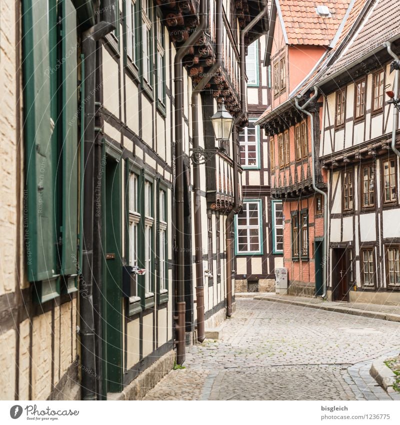 Quedlinburg I Ferien & Urlaub & Reisen Städtereise Architektur Deutschland Europa Stadt Altstadt Menschenleer Haus Fachwerkhaus alt Mittelalter Farbfoto