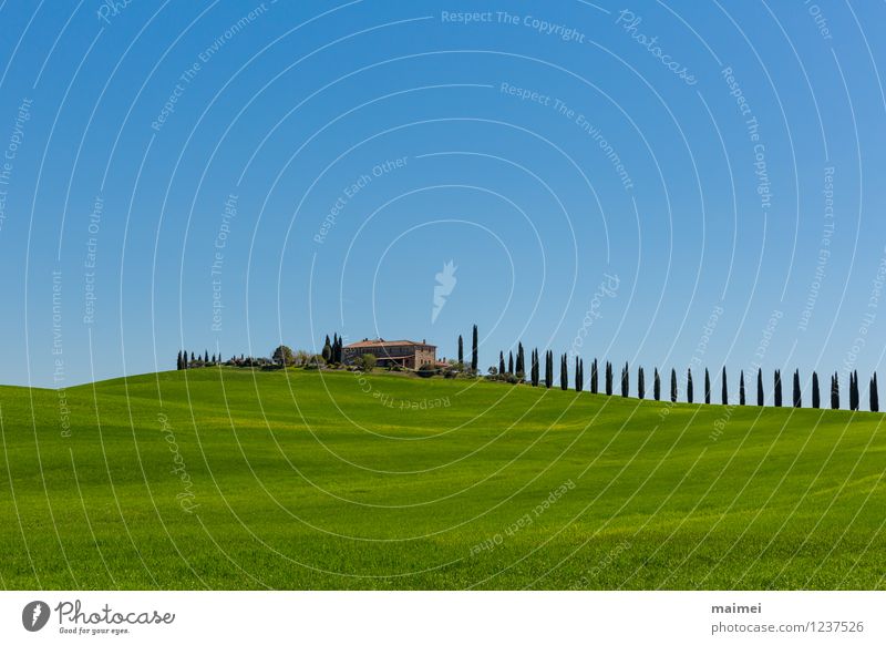 Ein Landgut in der Toskana im Frühling Ferien & Urlaub & Reisen Haus Landschaft Wolkenloser Himmel Sonnenlicht Baum Wiese Feld Hügel ästhetisch blau grün