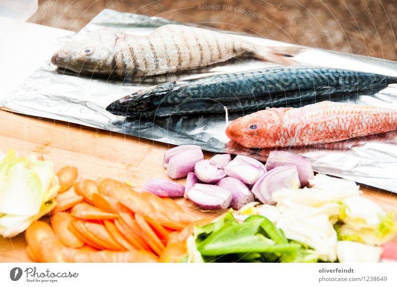 Surfen X Lebensmittel Fisch Gemüse Ernährung Abendessen Ferien & Urlaub & Reisen Camping Sommer Sommerurlaub Umwelt Natur genießen kochen & garen Möhre Zwiebel