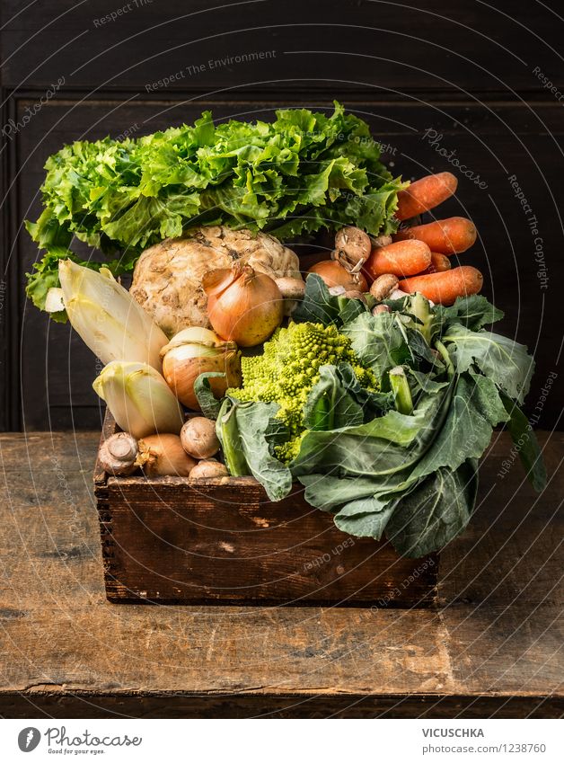Alte Holzkiste mit Garten Gemüse Lebensmittel Salat Salatbeilage Ernährung Mittagessen Abendessen Bioprodukte Vegetarische Ernährung Diät Stil Design