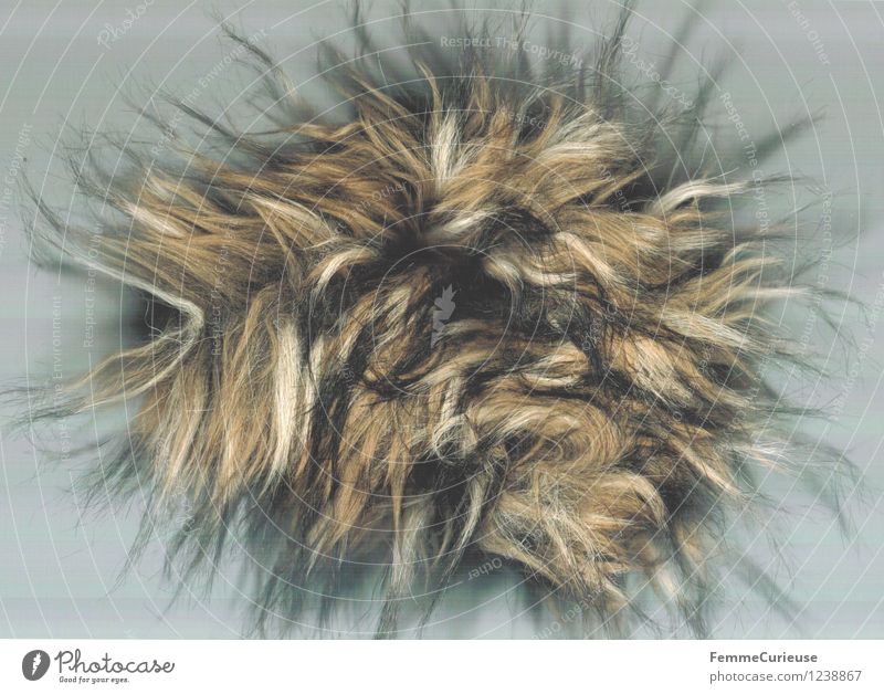 Puschel Kunst Kunstwerk Kreativität weich Pelzjacke Behaarung seltsam Haare & Frisuren Perücke ausgefranst mehrfarbig scheckig Farbfoto Kunstlicht Unschärfe
