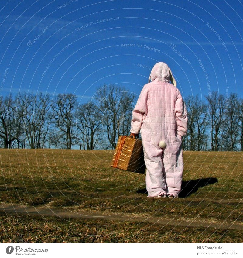 HasenMission | 2008 - orientieren Hase & Kaninchen Ostern rosa weiß Quaste kuschlig himmelblau genießen schön Physik Denken Dinge Hasenohren Freude lustig offen