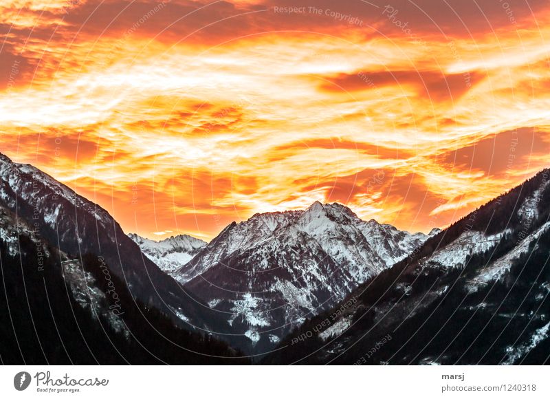 Der Himmel brennt! Wolken Sonnenaufgang Sonnenuntergang Frühling Herbst Klima Wetter Schönes Wetter Wärme Alpen Berge u. Gebirge Gipfel Schneebedeckte Gipfel
