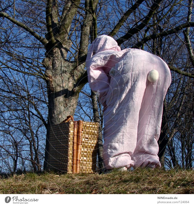 HasenMission | 2008 - hasenpops Hase & Kaninchen Ostern rosa weiß Quaste kuschlig himmelblau genießen schön Physik Dinge Freude lustig offen ducken unterwegs