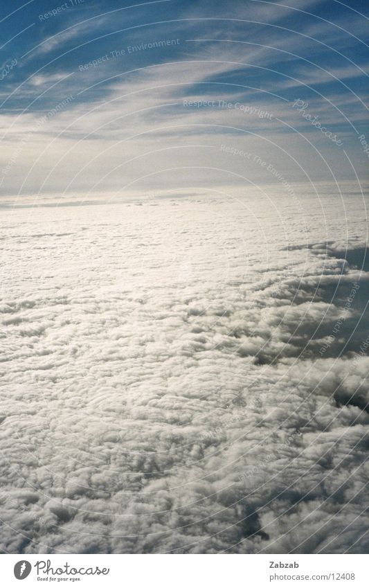 über den wolken... Flugzeug Luft Wolken Horizont Luftverkehr Himmel oben Sonne