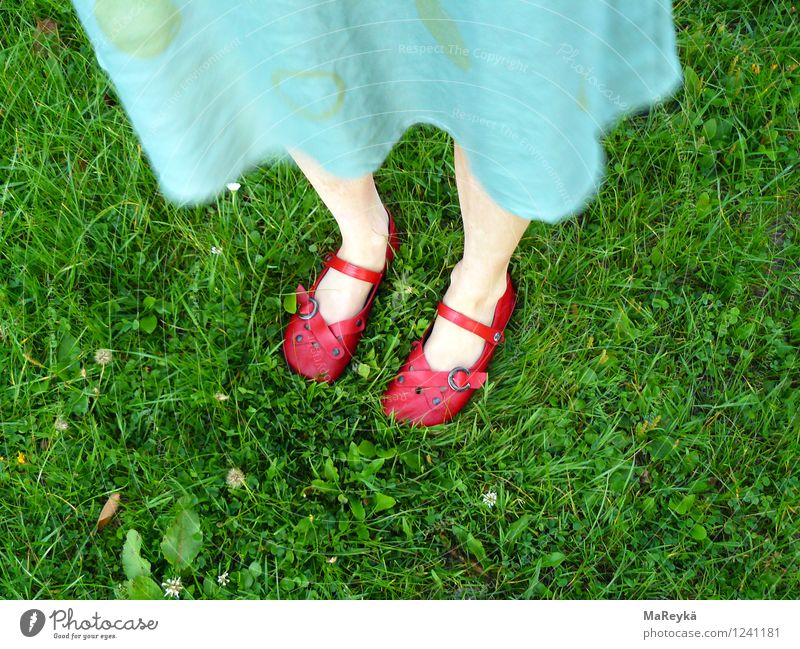 Dorothy und der Zauberer von Oz Natur Schönes Wetter Gras Garten Park Wiese Kleid Schuhe Sandale Ballerina Riemchen Zauberschuhe stehen natürlich grün türkis