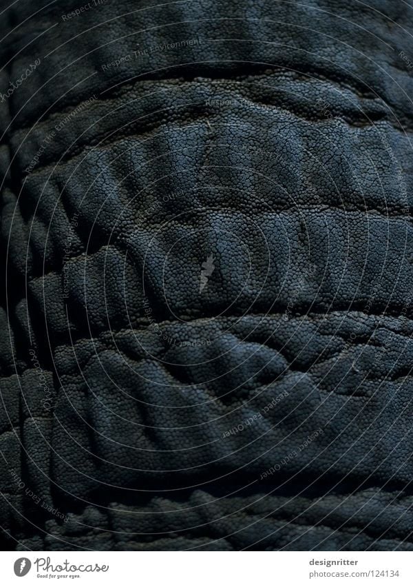 Privatsache Leder dunkel schwarz Tier Elefant Rüssel verletzen Haptik Schutz Sicherheit ignorieren privat Privatsphäre Pore Gemälde Fußspur Tasche Bekleidung