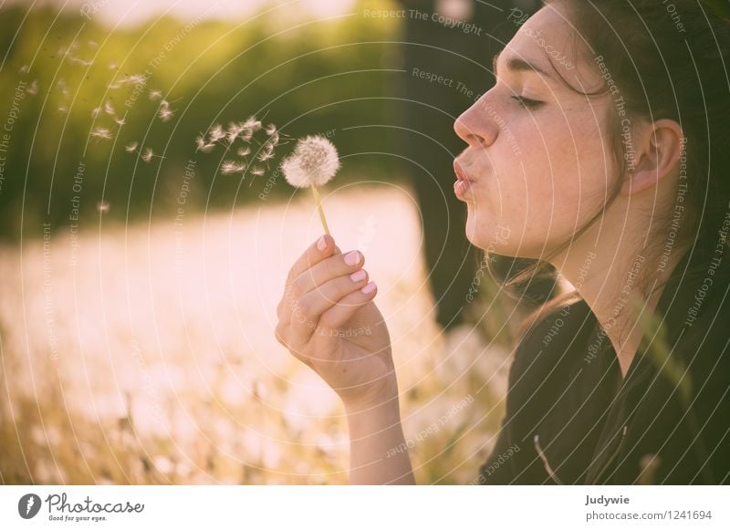 Kindheitserinnerung | Pusteblumenpusten schön Erholung ruhig Sommer Mensch feminin Junge Frau Jugendliche Erwachsene 13-18 Jahre 18-30 Jahre Umwelt Natur