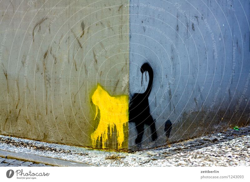 Schwarze Katze von links nach rechts Graffiti Grafik u. Illustration Tagger Zeichnung Bild Haus Wand Ecke dreidimensional Straßenkunst Kunst Vandalismus