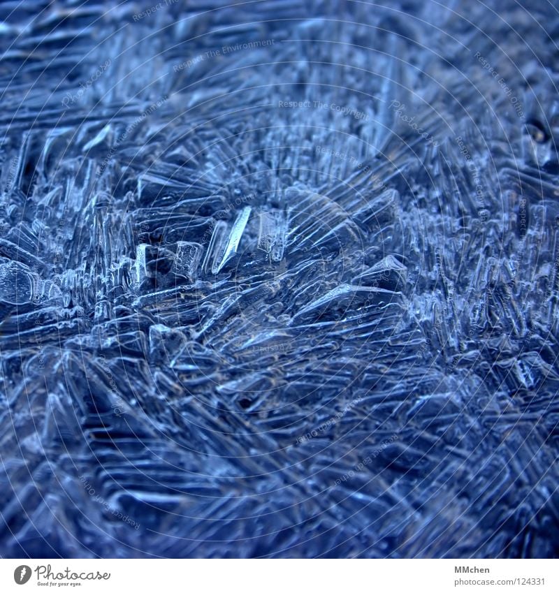 Eifel: -2°C gefroren kalt Eiskristall Ordnung bewegungslos Winter erstarrt Frost Kristallstrukturen kristallisiert 0° Gefrierpunkt Wetter blau