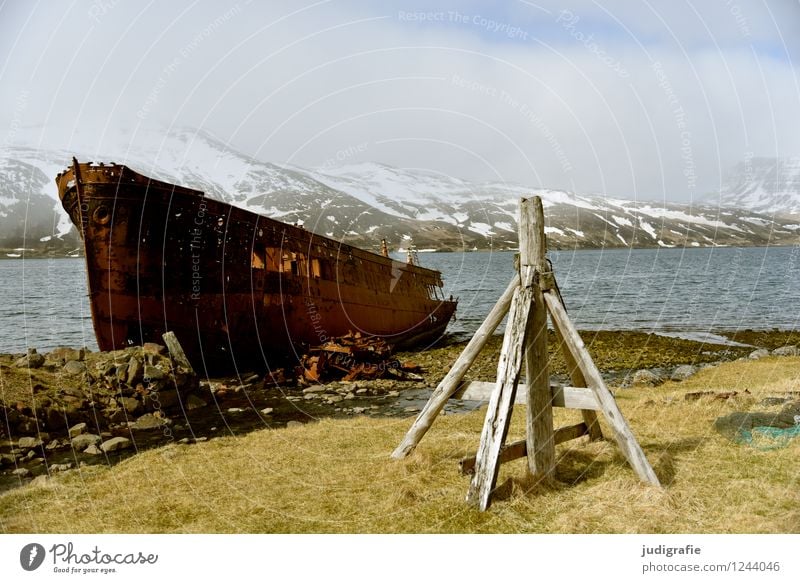 Island Umwelt Natur Landschaft Klima Wetter Eis Frost Berge u. Gebirge Gipfel Schneebedeckte Gipfel Fjord Westfjord Schifffahrt Fischerboot alt kalt kaputt