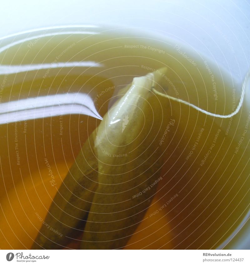 Tee Physik Beutel Getränk trinken Gesundheit heiß heizen Tasse Reflexion & Spiegelung Salbeitee Wärme ziehen ziehen lassen Wasser Reflektion Heilpflanzen
