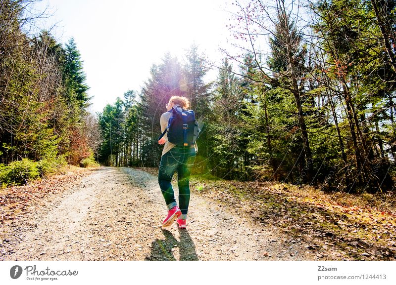 Waldspaziergang Lifestyle Ferien & Urlaub & Reisen Ausflug Sommer wandern feminin Junge Frau Jugendliche 18-30 Jahre Erwachsene Natur Landschaft Sonne Herbst