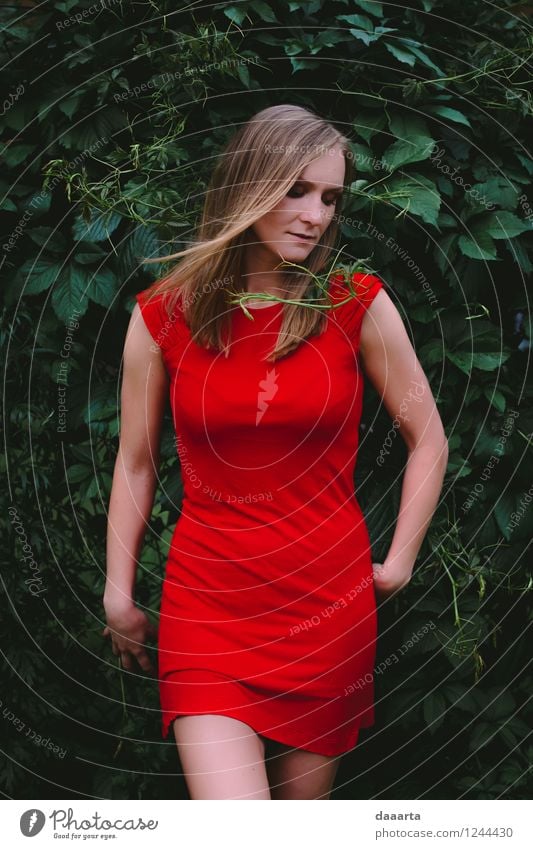 Femme Fatale Lifestyle elegant Stil Freude Leben harmonisch Erholung Freizeit & Hobby Sommer Flirten Kleid rotes Kleid außergewöhnlich positiv rebellisch Wärme