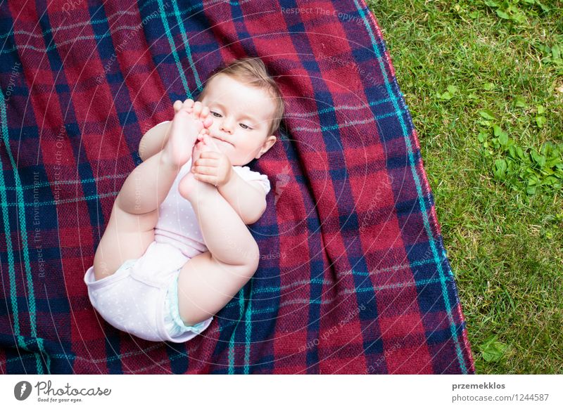 Baby, das auf Decke im Garten liegt Sommer Mädchen 1 Mensch 0-12 Monate Natur Frühling Gras Park klein niedlich grün kariert Kind Farbfoto Außenaufnahme
