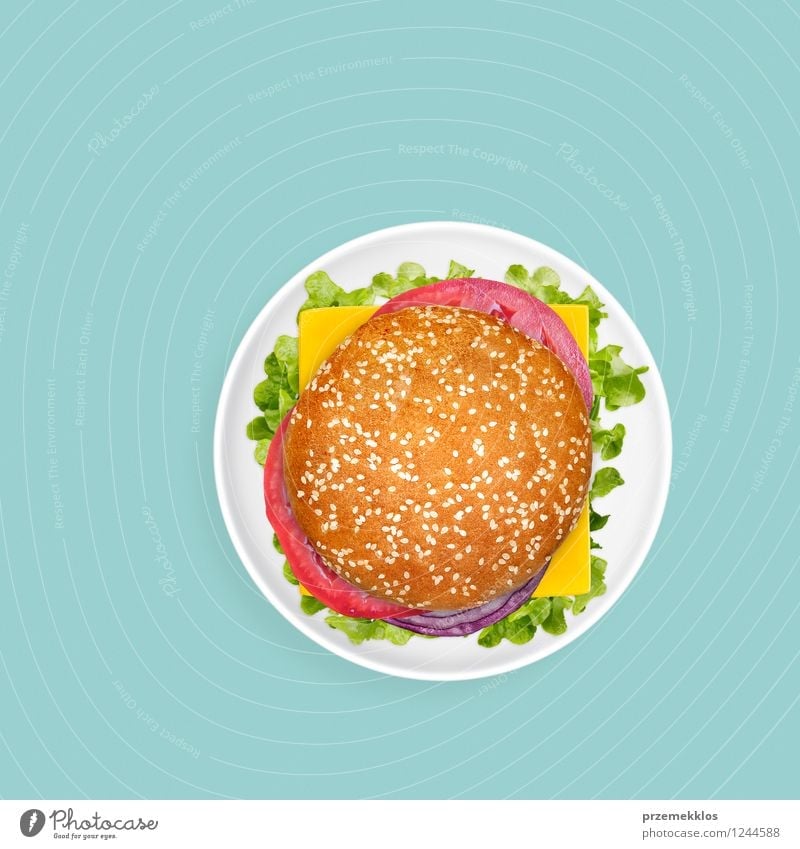 Sandwich auf einfachem grünem Hintergrund Käse Gemüse Ernährung Mittagessen Abendessen Fastfood Teller hell saftig Amerikaner Burger Cheeseburger Direkt darüber