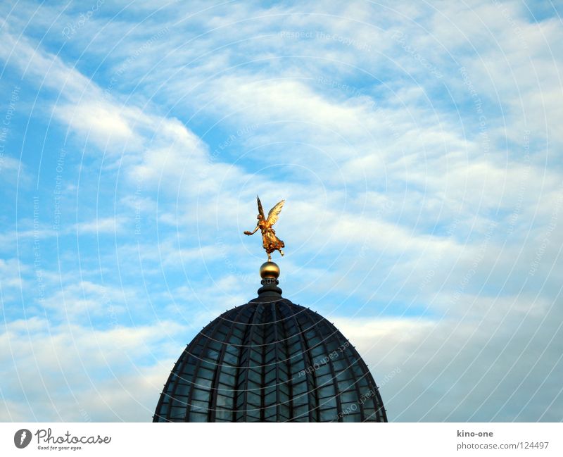 Zitronenpresse Zitruspresse Dresden Dach Kuppeldach historisch Engel Himmel blau gold HfbK