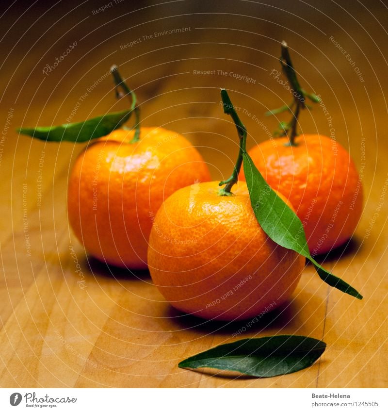 Immunstimulanz Lebensmittel Frucht Dessert Bioprodukte Vegetarische Ernährung Gesundheit Gesunde Ernährung Natur Nutzpflanze Essen genießen frisch süß orange
