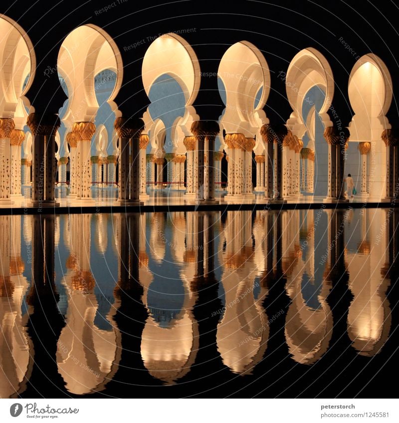 1001 Nacht 3 Ferien & Urlaub & Reisen Sightseeing Abu Dhabi Hauptstadt Moschee leuchten ästhetisch exotisch fantastisch rund Gefühle Stimmung Design einzigartig