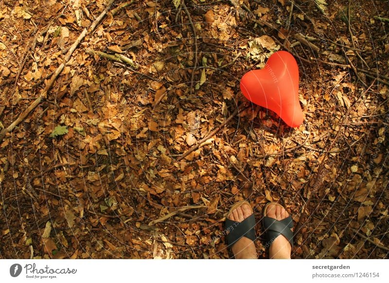 beherzt auftreten. Sommer Spaziergang Mensch Frau Erwachsene Fuß 1 Natur Blatt Park Wald Sandale Luftballon Zeichen Herz braun rot Glück Sympathie Freundschaft