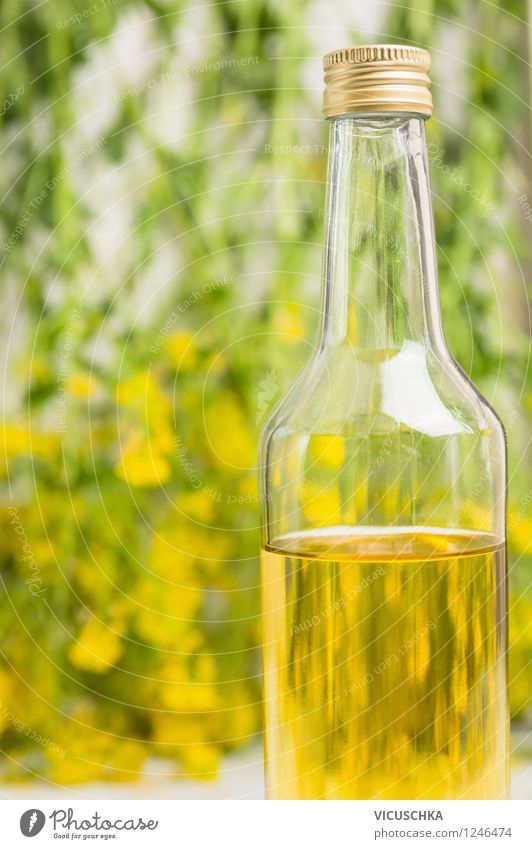 Rapsöl Lebensmittel Öl Ernährung Bioprodukte Vegetarische Ernährung Diät Flasche Stil Design Gesunde Ernährung Pflanze Blatt Blüte Duft Rapsblüte Glas