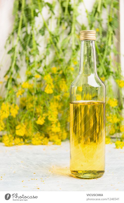 Glasflasche mit Rapsöl Lebensmittel Öl Ernährung Bioprodukte Vegetarische Ernährung Diät Flasche Stil Design Gesunde Ernährung Sommer Natur Pflanze Blatt Blüte