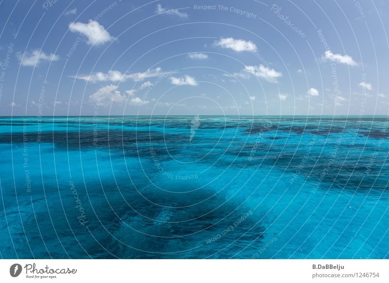 blau Ferien & Urlaub & Reisen Meer Wellen Natur Wasser Himmel Wolken Erholung Schwimmen & Baden tauchen Karibik Karibisches Meer Riff Belize Wassersport