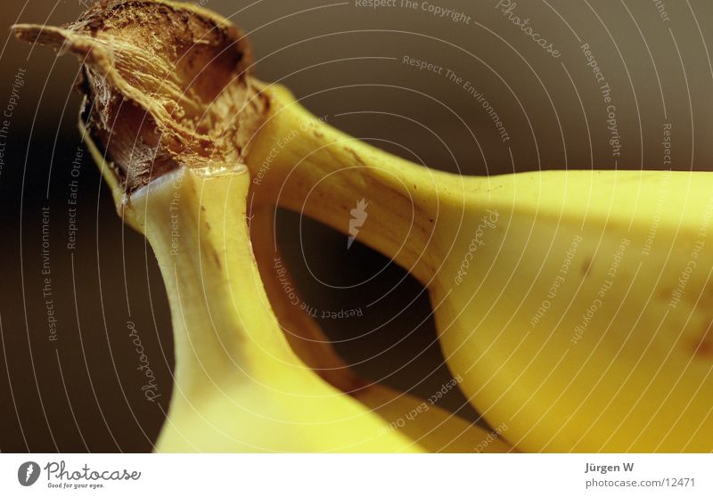 Affenkotlett Banane gelb Nahaufnahme Frucht Makroaufnahme Detailaufnahme Schatten Schalen & Schüsseln banana fruit shadow