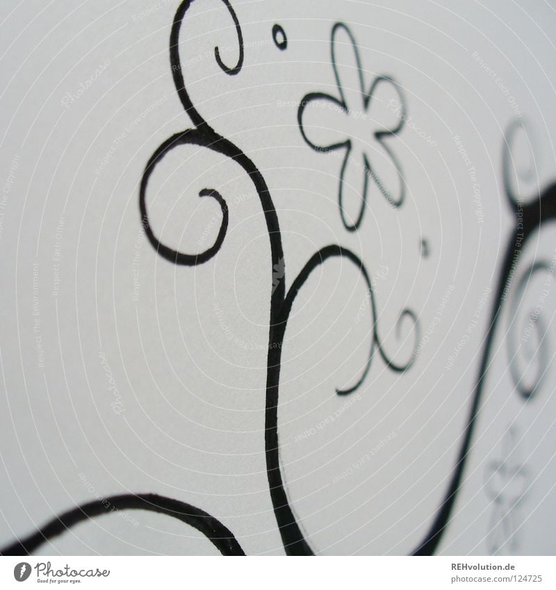 Inspiratingel schwarz weiß Entwurf Gemälde Kreis geschwungen Wachstum Ranke filigran fein schwungvoll nah Schreibstift Papier Block Blume Blüte Schnörkel