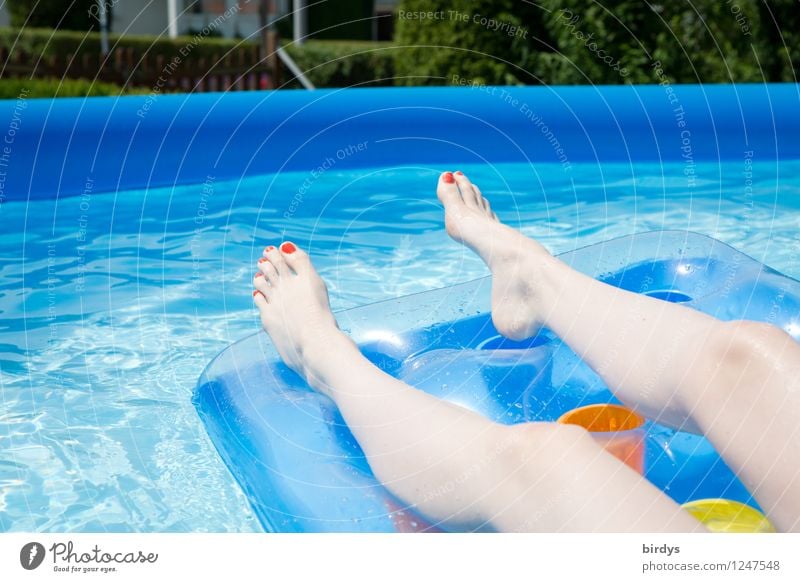 Hitzefrei Reichtum Stil Freude schön Nagellack Wellness Erholung Schwimmbad Sommerurlaub Junge Frau Jugendliche Beine 1 Mensch 18-30 Jahre Erwachsene Wasser