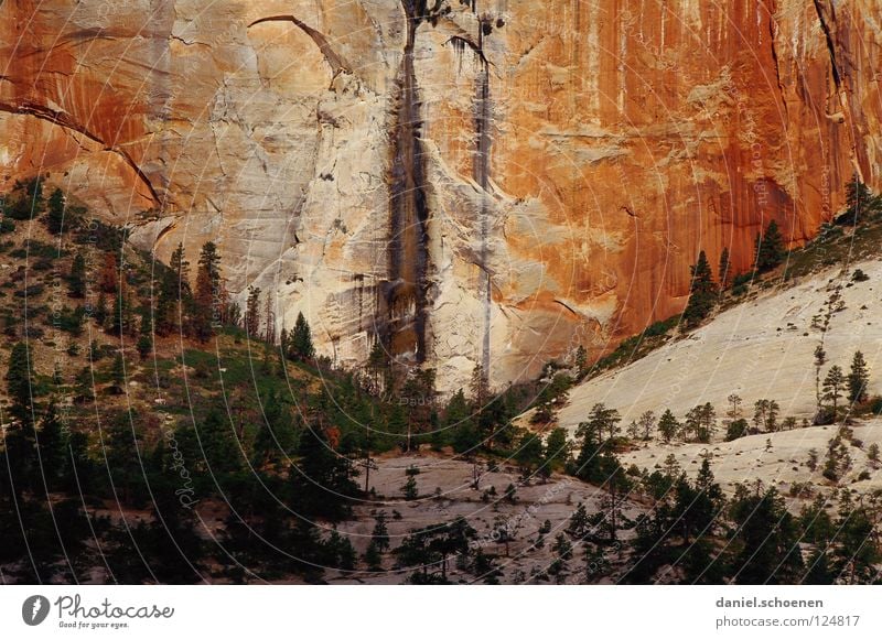 Kletterfelsen XXL Felswand steil Erosion Sandstein Zion National Park Utah Ferien & Urlaub & Reisen Amerika Bergsteigen wandern Hintergrundbild rot beige Baum