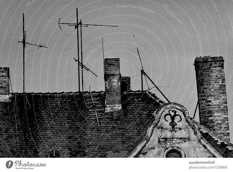 IAntennaI Dach Dachgiebel Backstein Antenne Fenster grau verfallen Friedrichshain Osten Detailaufnahme Schwarzweißfoto Schornstein Stein alt oben Himmel