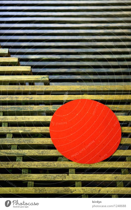 auf den Punkt Häusliches Leben Terrasse Sitzgelegenheit Holz Linie Kreis leuchten ästhetisch außergewöhnlich einzigartig positiv rund gelb rot Design Idee
