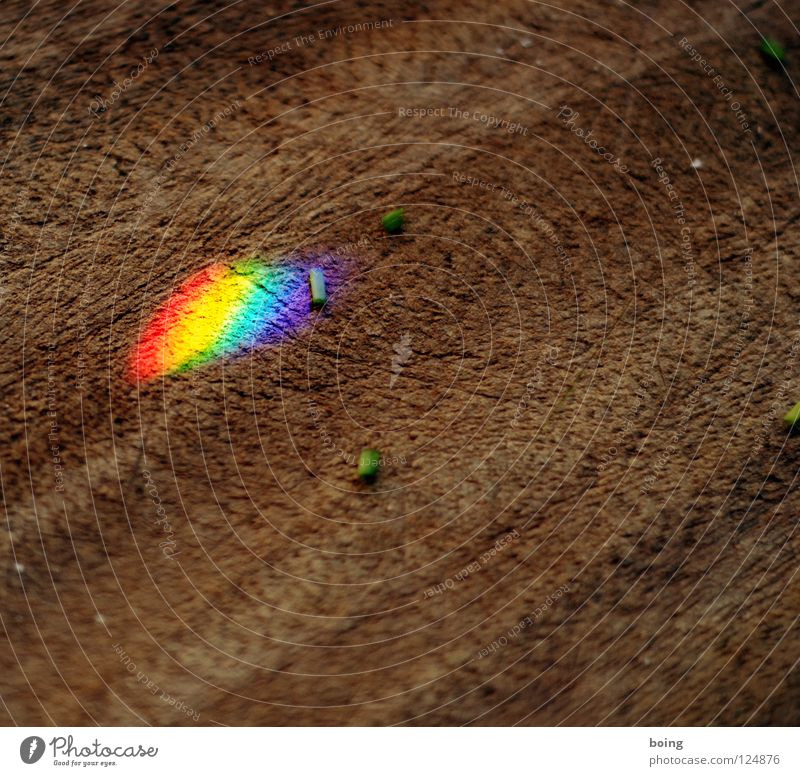 Trockenkräuter Regenbogen Lichtbrechung Prisma Spektralfarbe Strahlung Halo RGB grün gelb rot mischen mehrfarbig Symbole & Metaphern Toleranz Vielfältig