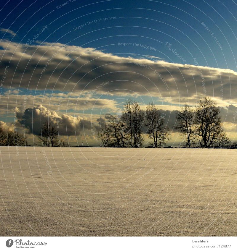 letzter Schnee? Winter Wolken weiß Baum Strukturen & Formen Horizont flach Einsamkeit Himmel blau Sonne Ferne