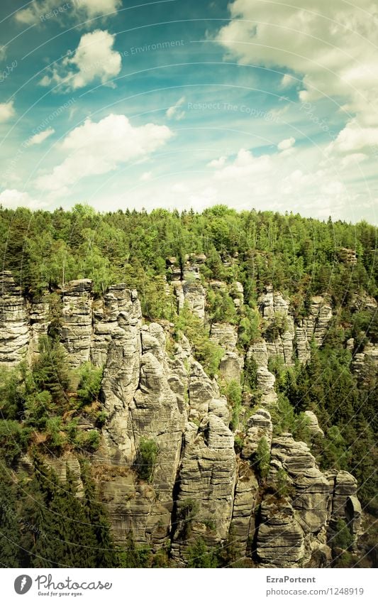 Berge und Ferien & Urlaub & Reisen Tourismus Ausflug Natur Landschaft Wolken Frühling Sommer Klima Wetter Pflanze Baum Wald Felsen Berge u. Gebirge ästhetisch