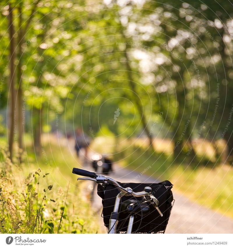 Spreedorado | Drahteseltraum Freizeit & Hobby Ferien & Urlaub & Reisen Tourismus Ausflug Sommer Sommerurlaub Sonne Fahrradfahren Natur Landschaft Sonnenlicht