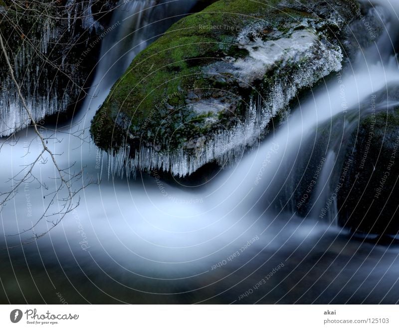 Weichspüler Berge u. Gebirge Landschaft Wasser Bach Fluss Wasserfall kalt weich Wildbach Schwarzwald Schauinsland Mittelgebirge graufilter Langzeitbelichtung